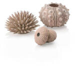 Oase biOrb Sea urchins set natural