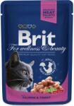 Brit Premium Cat 100 g alutasakos lazac+pisztráng 100271 (8595602505999)