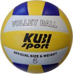 Kubi sport Röplabda VOLLEY TRAINING VS501SK