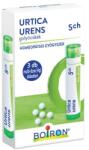  Urtica urens 5CH golyócskák 3 db multi-dose (4 g), dobozban