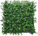 Mirpol Műanyag Buxusz Zöldfal Panel - 50x50 cm (5902659145185)