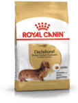 Royal Canin Dachshund Adult Kutyaeledel - 500g (3182550717328)