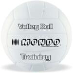 Mondo Toys Edző Röplabda - 5-ös (13135)