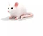 Mojo Mojo: Mouse - 6.5 cm Figurina