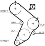 GATES Fogasszíj GATES 5087 for FIAT (5087)