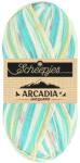 Scheepjes Arcadia Jacquard - 1003 Seastone - mintás zoknifonal