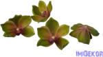  Polifoam orchidea fej 9, 5cm - Zöld