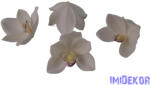  Polifoam orchidea fej 9, 5cm - Krém