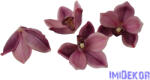  Polifoam orchidea fej 9, 5cm - Lila