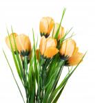 Dalia-RP Krokodil csokor narancssárga művirágok (krokusy)