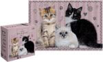 Interdruk - Puzzle Semn cățeluș - 250 piese Puzzle