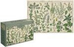 Interdruk - Puzzle Natura de epocă - 1 000 piese Puzzle