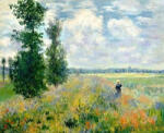 Figured Art Set pictura pe numere, cu sasiu, Camp de maci - Monet, 40x50 cm (PN1315-Y)