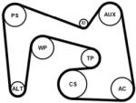 Continental Ctam Set curea transmisie cu caneluri CONTINENTAL CTAM 7PK2418K1 (7PK2418K1) - centralcar