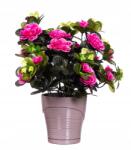 Dalia-RP Virágtartó fedél cappucino állvánnyal (Oslonka doniczka)