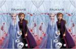 Procos Disney Frozen II 120x180 cm PNN91129 Fata de masa