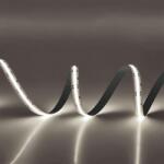 PHENOM Led szalag COB Középfehér 12V - 11W/m - 320 L 5fm (55857D)