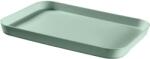 Curver Tálca 30, 8x43 cm zöld (3253924871011)