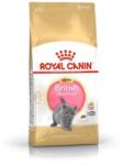 Royal Canin British Shorthair Kitten Eledel - 2 kg (120902)