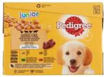 PEDIGREE alutasak 12-pack JUNIOR 12*100g (DR24B)