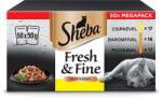 Sheba Fresh & Fine Baromfi Macskaeledel - 50 x 50g (145593)