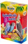 Trópus Gyümölcsös koktél papagájoknak 200ml