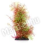 JK Animals JK Műnövény Rotala zöld-piros 15-20cm 18377