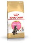 Royal Canin Maine Coon Cica Kiskorú Táp - 2kg