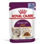 Royal Canin Sensory Taste - zselés nedves táp felnőtt macskák részére 12 x 85 g (144491)