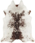 Malmo Covor Premium Belgian Model Malmo P0181-038, Marime 155 x 190 cm, Crem, Inaltime Fir 4 mm, Antialergic, Polipropilena, Living, Dormitor, Sufragerie, Birou (P0181-038 1.55x1.9) Covor