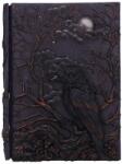 Nemesis Now Agenda Nemesis Now Adult: Gothic - Raven's Grimoire (D7209C25)