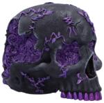 Nemesis Now Statuetă Nemesis Now Adult: Gothic - Rose Geode Skull, 15 cm (B7140C25) Figurina