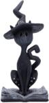 Nemesis Now Statuetă Nemesis Now pentru adulți: Magic - Conjure, 15, 2 cm (B7205C25) Figurina