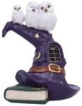 Nemesis Now Statuetă Nemesis Now Adult: Gothic - The Witching Perch, 18.5 cm (U7286C25) Figurina