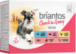 Briantos 48x100g Briantos falatkák szószban nedves kutyatáp Mix (csirke, marha & lazac)
