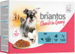 Briantos 48x100g Briantos Lazac & sárgarépa falatkák szószban nedves kutyatáp