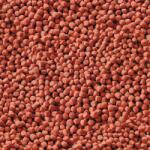 SERA Arowana eleség 1000 ml