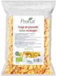 Pronat Foil Pack Fulgi de Porumb BIO Natur, 250 g, Pronat