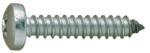 Schaefer-Peters Surub cu Cap Bombat pentru Tabla din 7981, Inox A2 - 3.9 X 25 (798123925S)