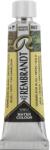Rembrandt Professional Vopsea acuarela Chameleon Blue Green Gold 10 ml 1 buc (05018630)