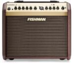 Fishman Loudbox Mini Bluetooth Combo de chitară electro-acustică (<![CDATA[PRO-LBT-500]]>)