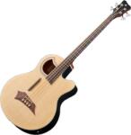 Warwick RockBass Alien Standard FL Natural Акустична бас китара