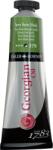 Daler Rowney Georgian Vopsea cu ulei Terre Verte Hue 38 ml 1 buc (111014379)
