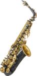 Victory TCCSA-01C Saxofon alto (TCCSA-01CBK)