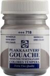 Talens Extra Fine Vopsea guașă Gri Cald 50 ml 1 buc (<![CDATA[08247182]]>)