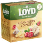 LOYD Tea Gyömbér-Vörösáfonya 20x2g