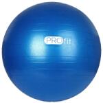 PROFIT DK 2102 Gyakorló labda 65 CM kék