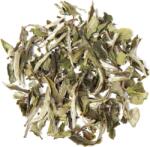 tea exclusive Bio Pai Mu Tan fehér tea - 100 g
