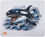 Baracuda Barracuda ORCA, BGMP-71 gamer szövet egérpad 300x250mm - axxialshop
