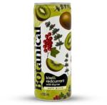 Horizont Coldbrew Botanical Kiwi&Redcurrant | Horizont| 0, 25L